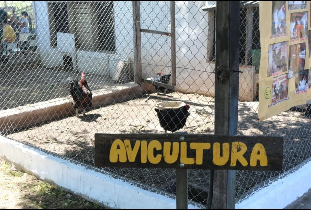 Screenshot_20241115-063234_WhatsApp