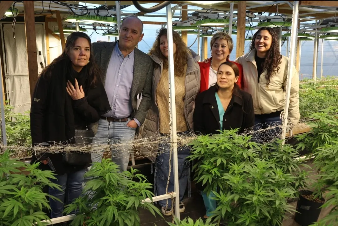 Screenshot_20240629-071457_WhatsApp