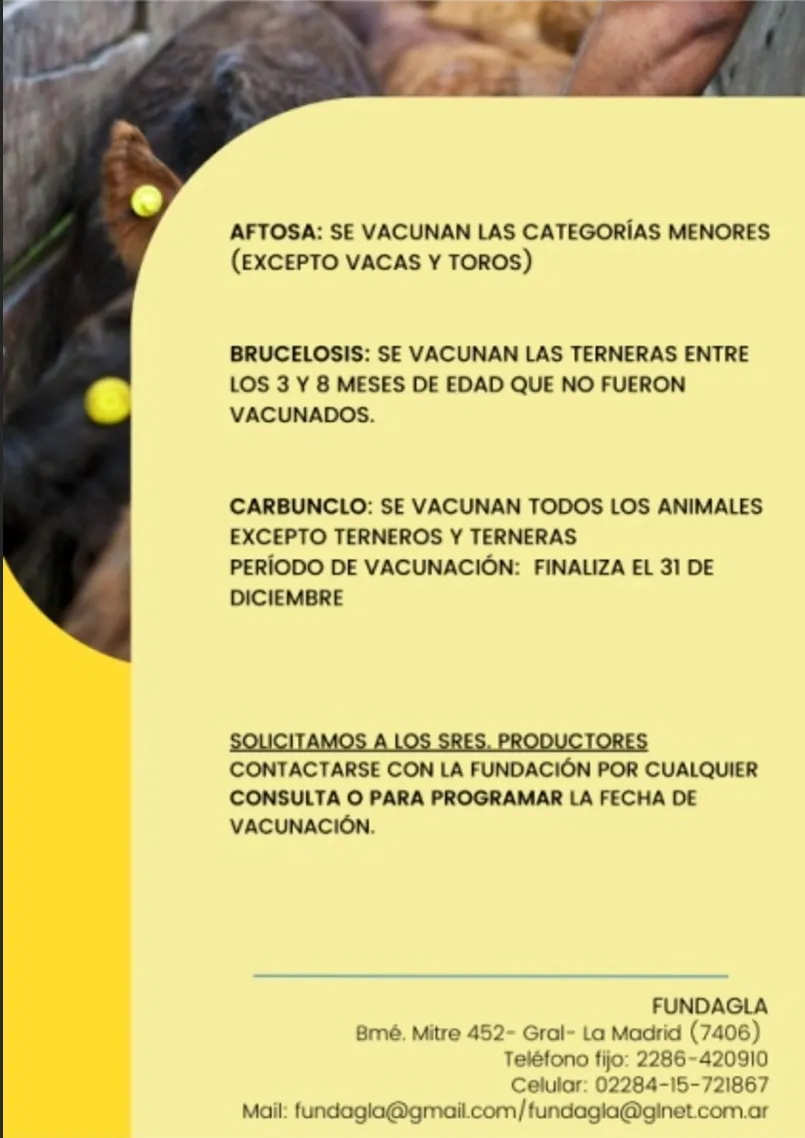 Screenshot_20241015-061749_Microsoft 365 (Office)