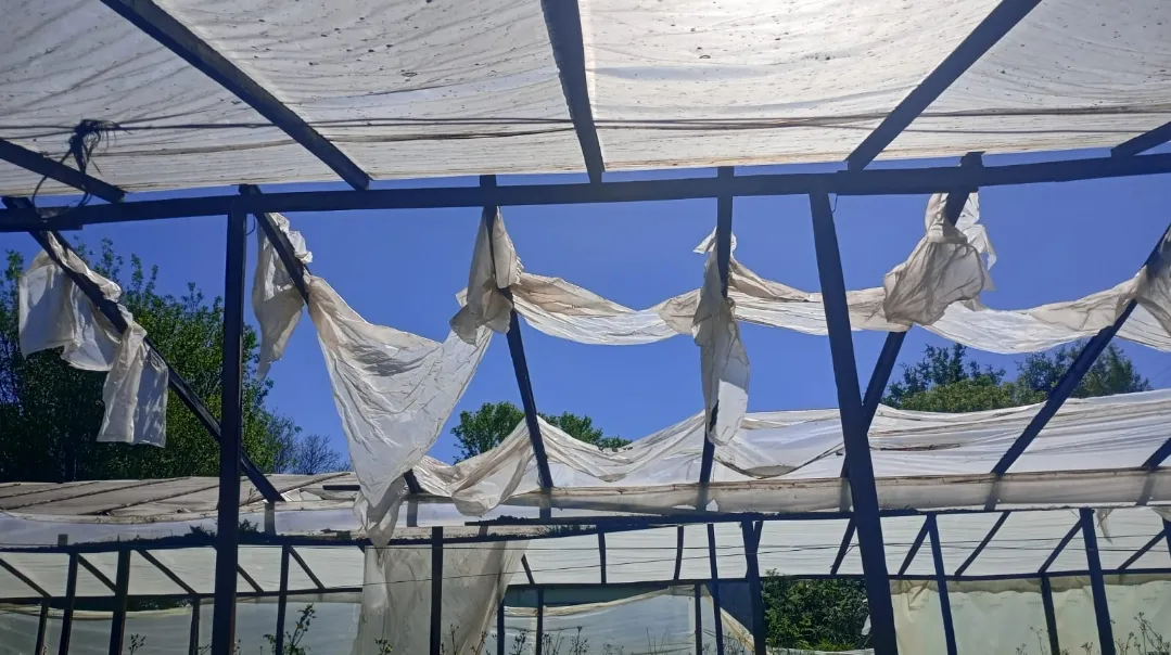 Screenshot_20251128_065113_WhatsApp