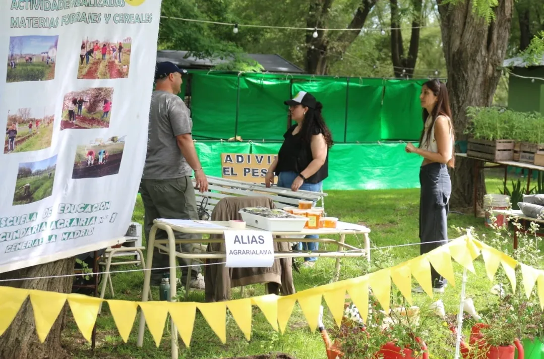 Screenshot_20251116_072528_WhatsApp