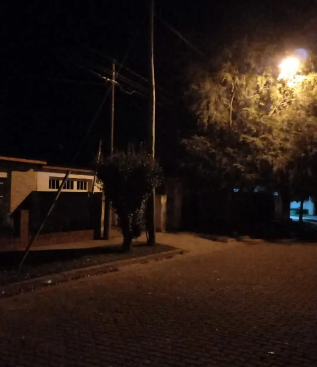 Screenshot_20240427-050824_WhatsApp