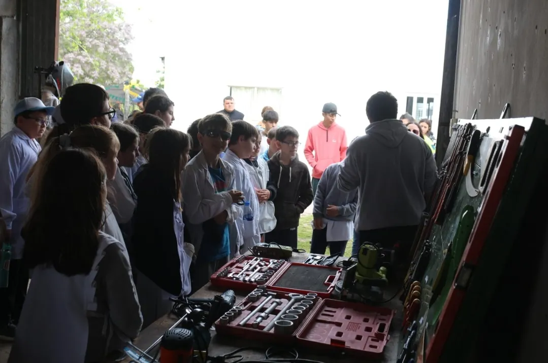 Screenshot_20251031_064550_WhatsApp