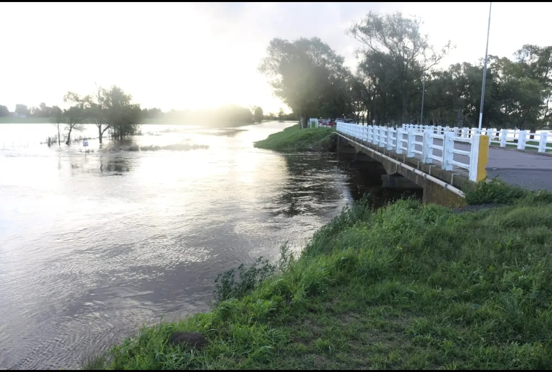 Screenshot_20250309-070634_WhatsApp