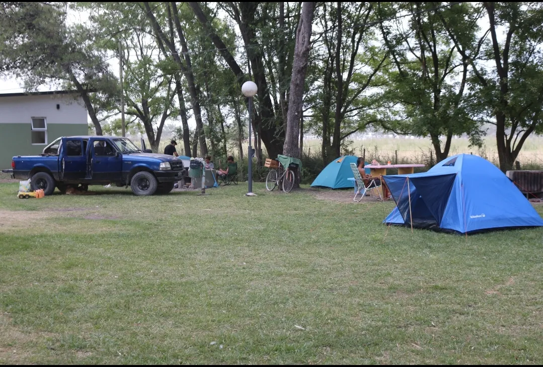 Screenshot_20250124-015519_Photos