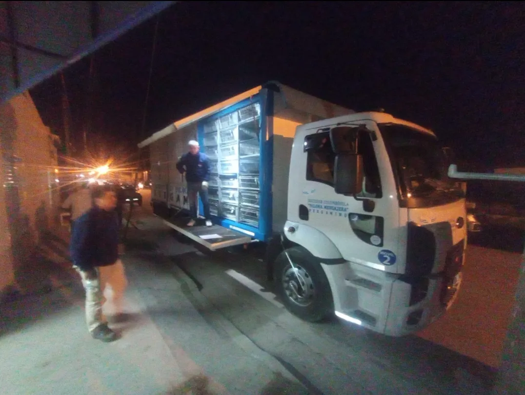 Screenshot_20240912-105127_WhatsApp