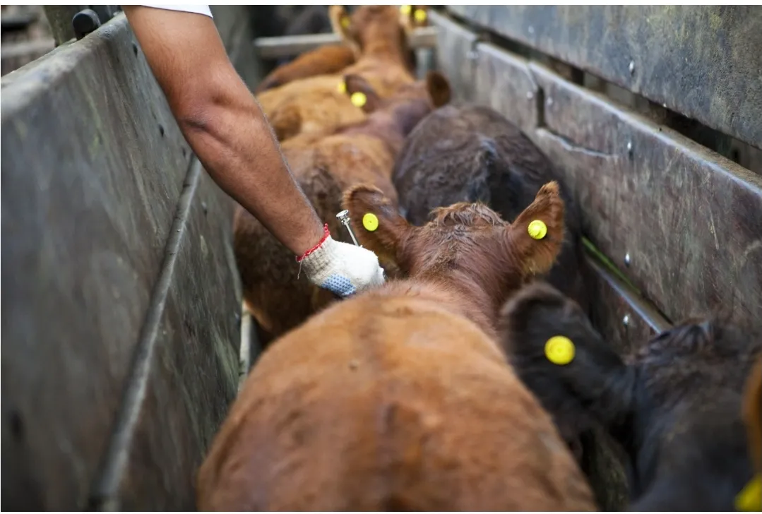 Screenshot_20251013-071319_Google