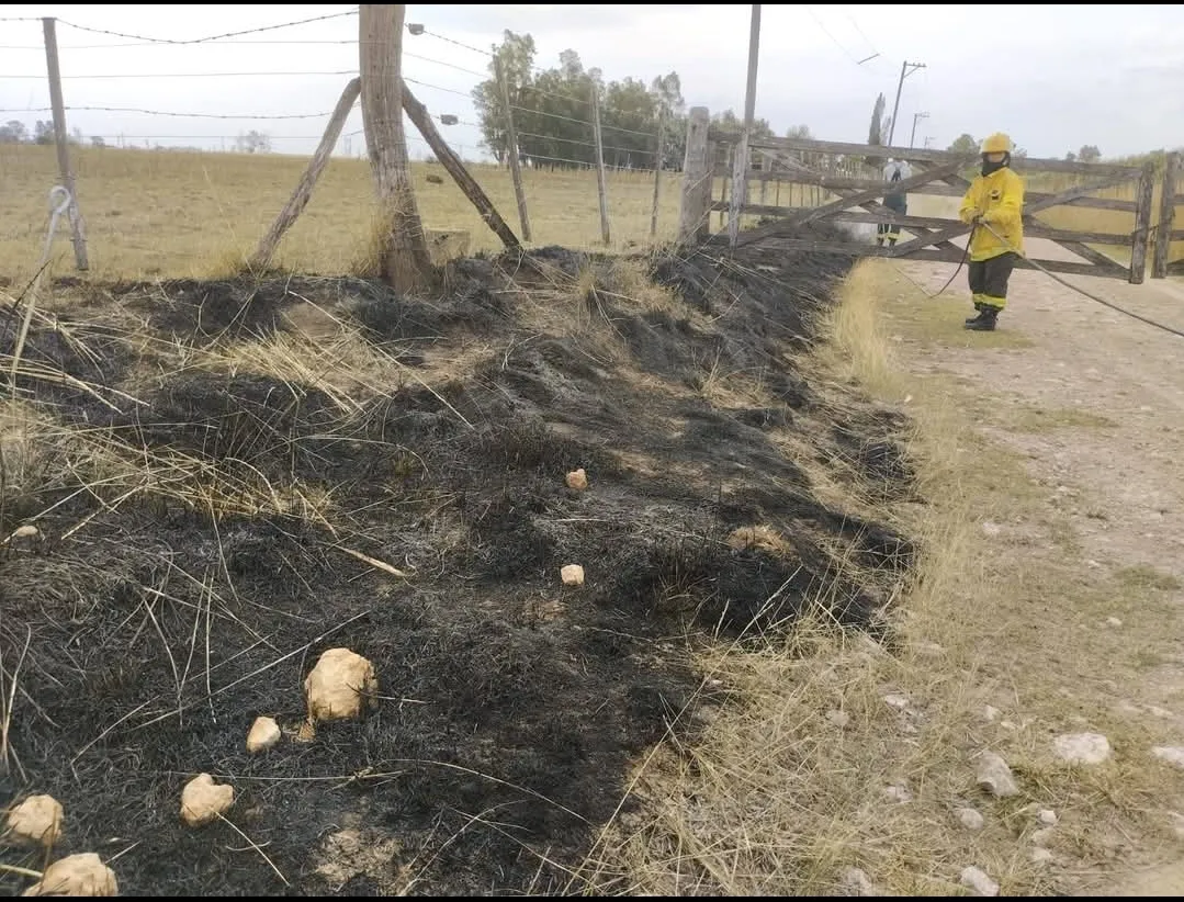 Screenshot_20250210-190823_Facebook