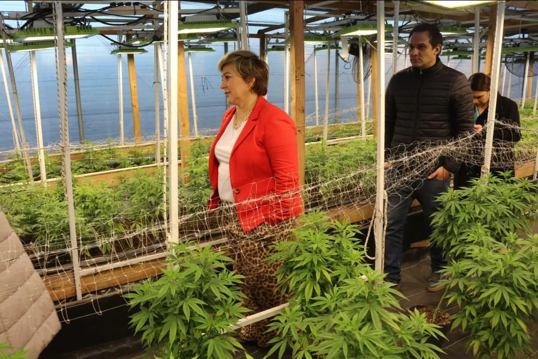 Screenshot_20240629-071642_WhatsApp