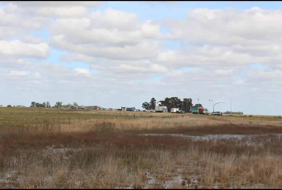 Screenshot_20250407-071513_WhatsApp