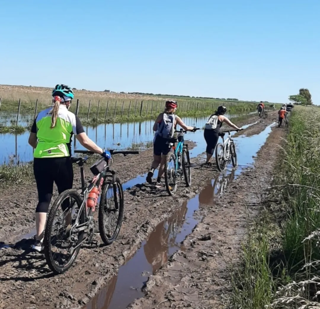 Screenshot_20251102_070727_WhatsApp