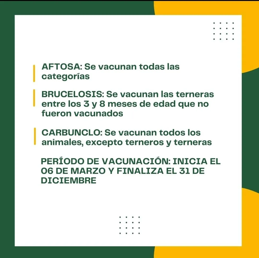 Screenshot_20240304-063945_Facebook