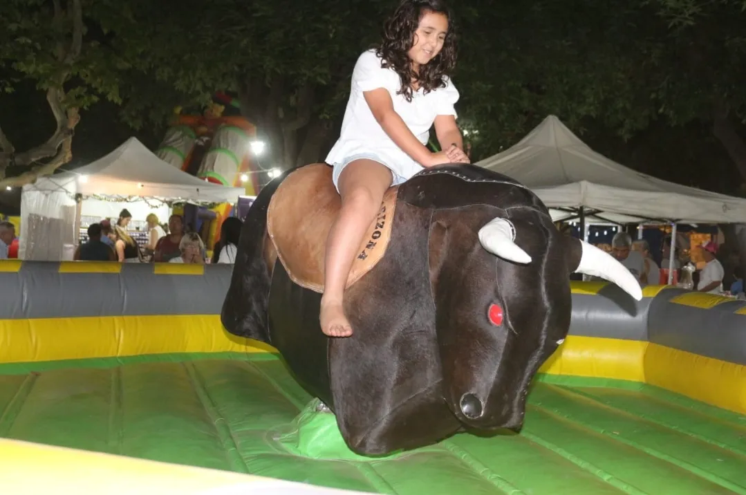 Screenshot_20251228_064852_WhatsApp