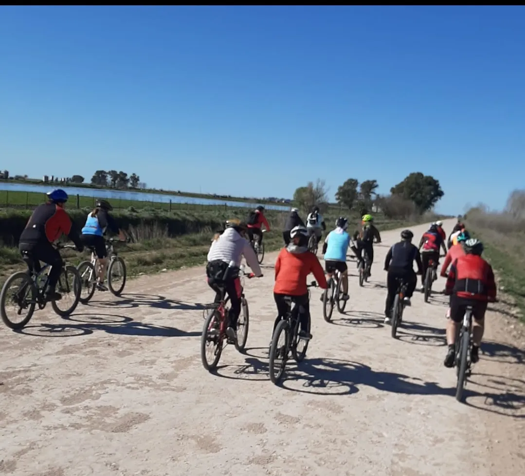 Screenshot_20250909-070505_WhatsApp