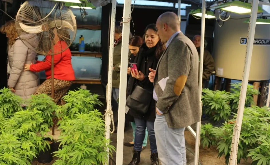 Screenshot_20240629-071939_WhatsApp