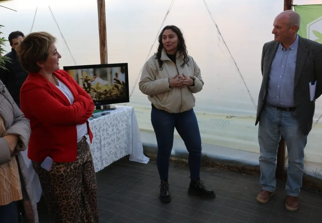 Screenshot_20240629-072017_WhatsApp