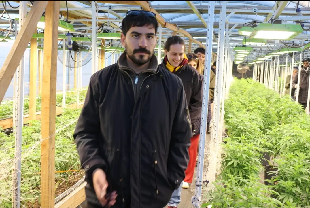 Screenshot_20240629-071527_WhatsApp