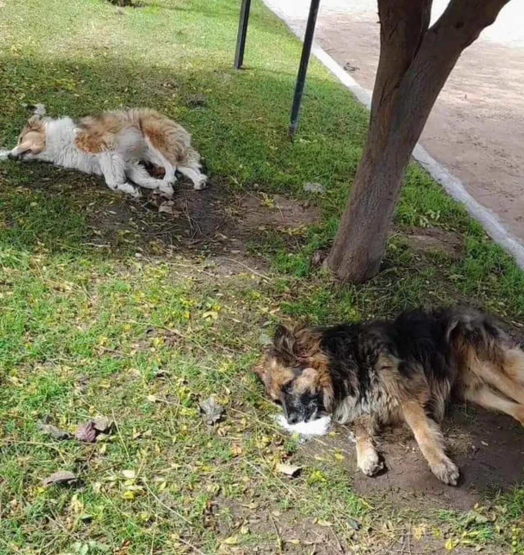 Screenshot_20240324-013431_Facebook