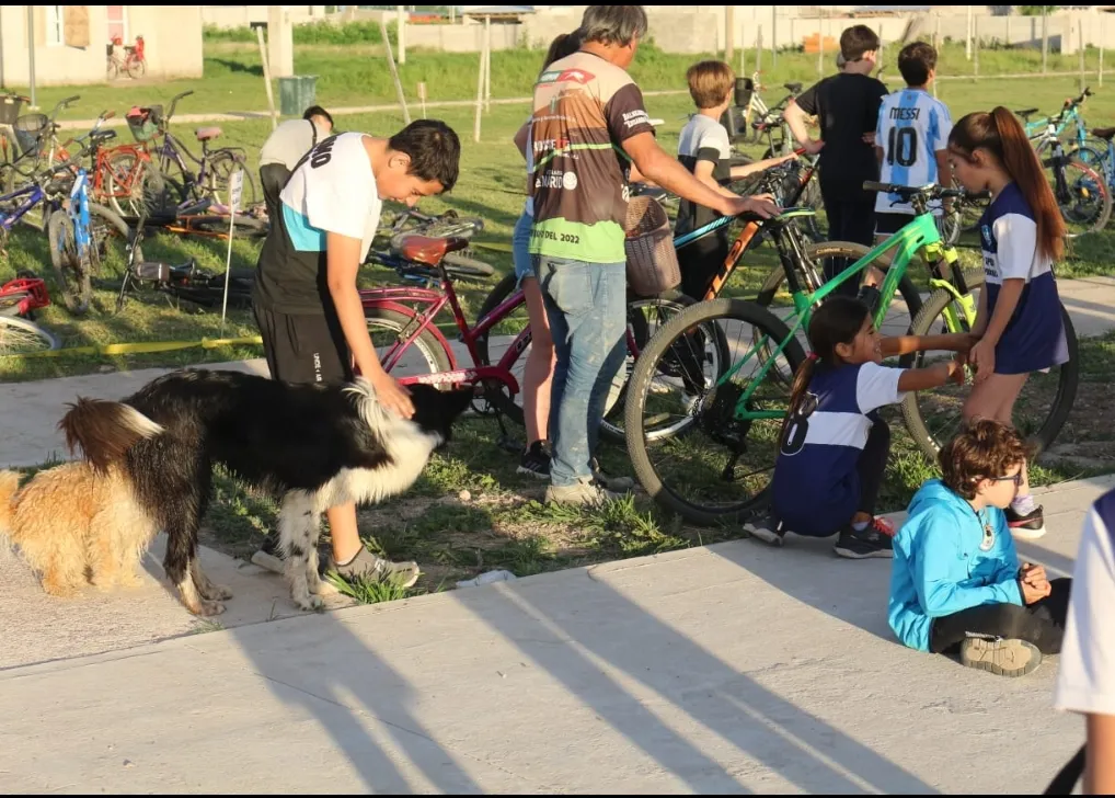 Screenshot_20241019-050225_WhatsApp