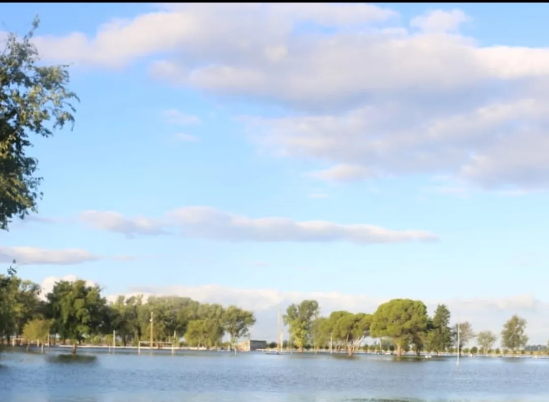 Screenshot_20250309-070538_WhatsApp