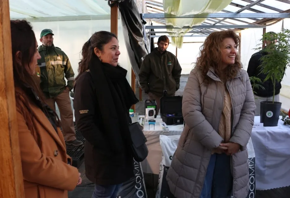 Screenshot_20240629-072034_WhatsApp