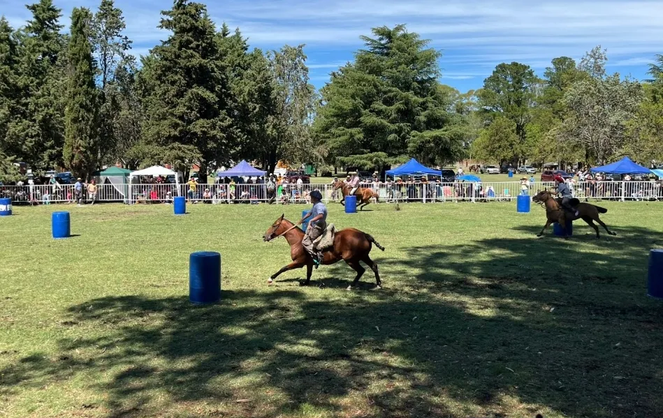 Screenshot_20260216_065556_WhatsApp