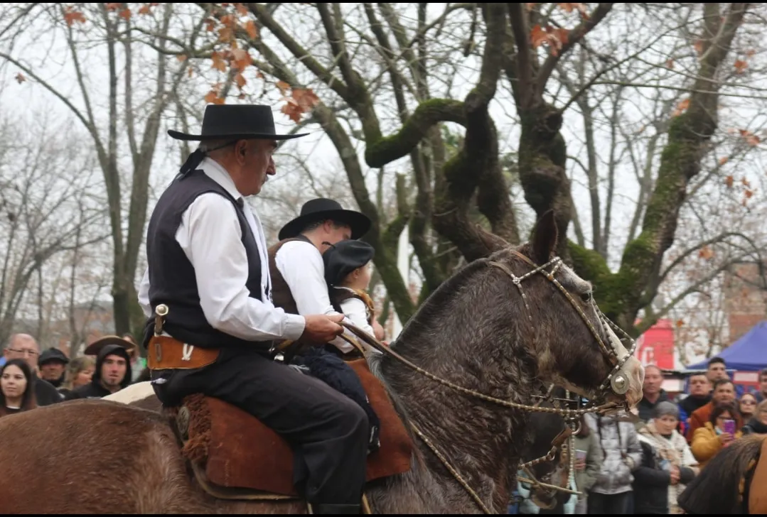 Screenshot_20250714-064343_WhatsApp