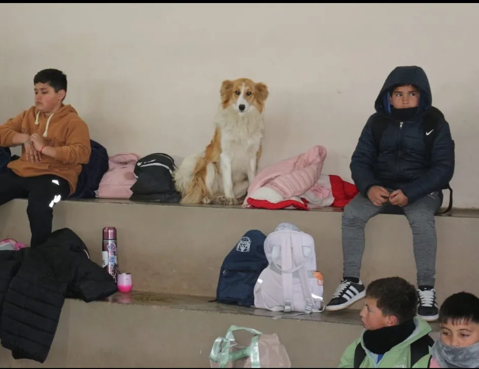 Screenshot_20250815-072655_WhatsApp