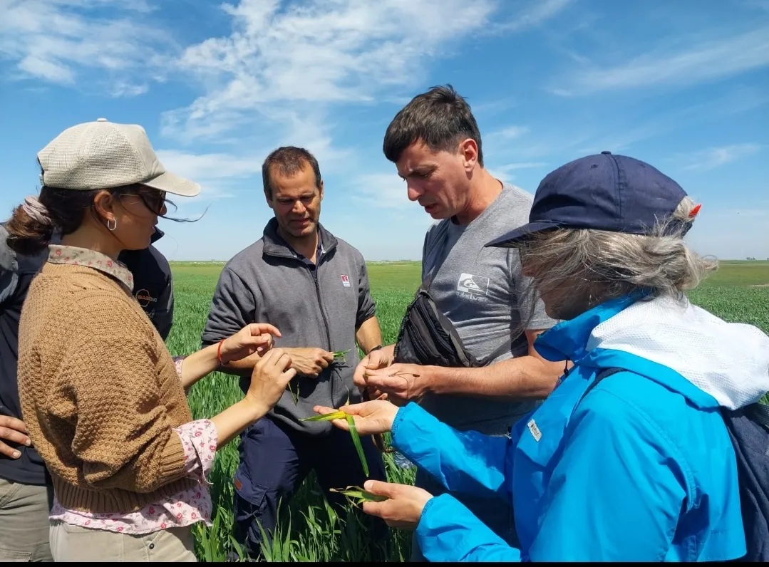 Screenshot_20251017-044549_WhatsApp