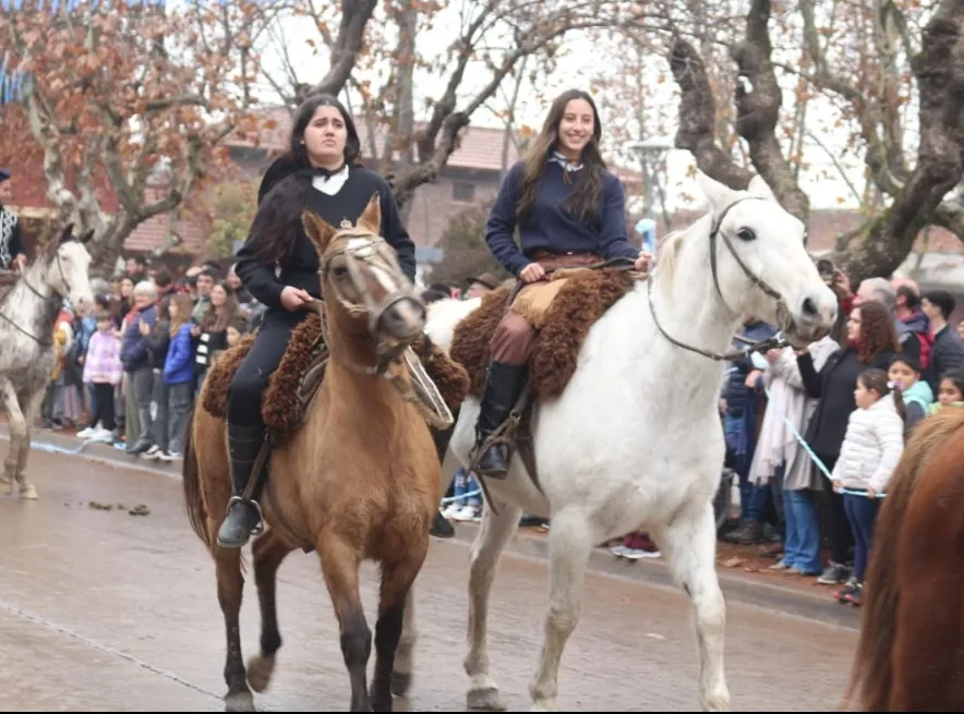 Screenshot_20250714-064237_WhatsApp