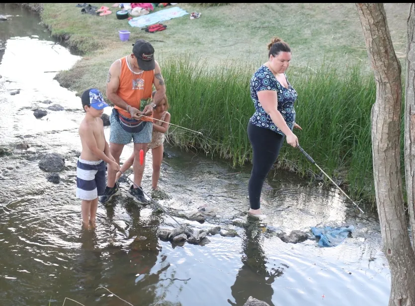 Screenshot_20250119-231425_Photos