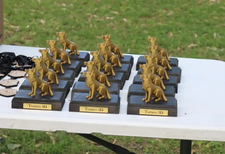 Screenshot_20251118_071752_WhatsApp