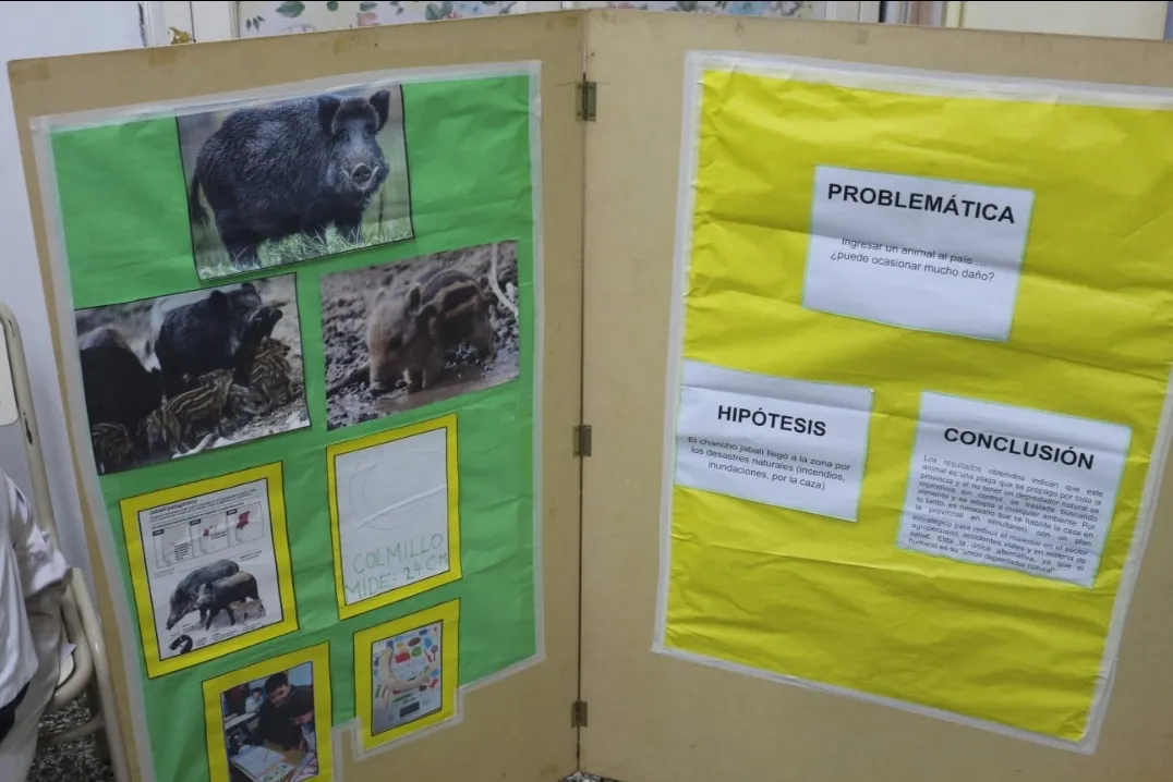 Screenshot_20240927-063948_WhatsApp