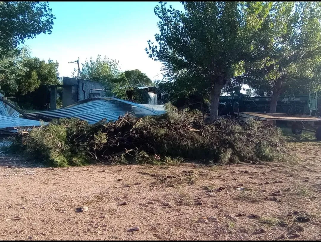 Screenshot_20250203-012244_WhatsApp