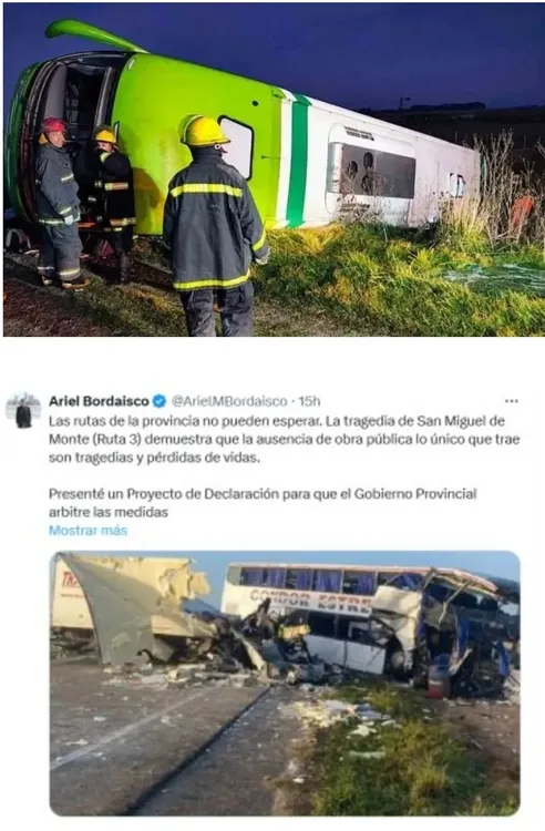 Screenshot_20250517-070428_M365 Copilot