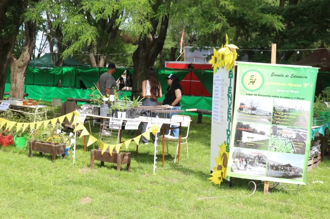 Screenshot_20251116_072519_WhatsApp