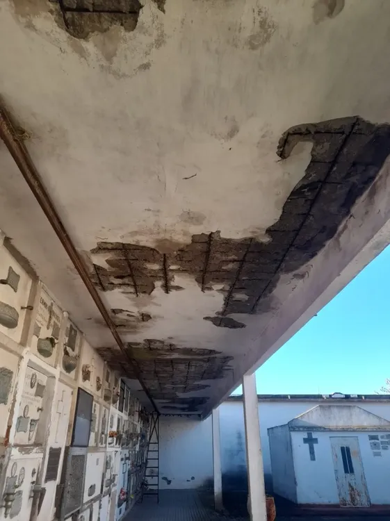 Screenshot_20240713-030816_WhatsApp