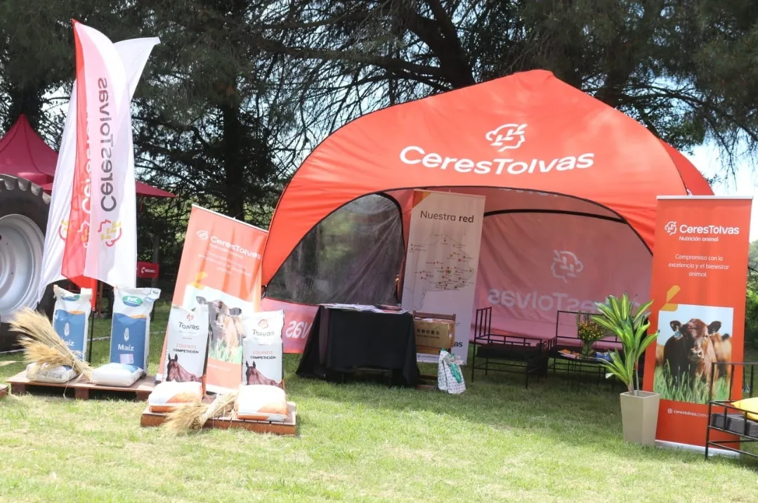 Screenshot_20251116_072456_WhatsApp