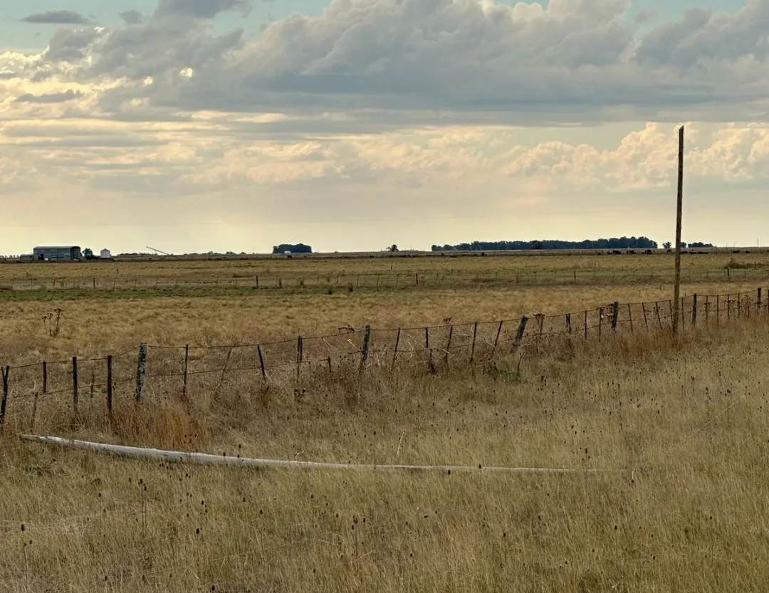 Screenshot_20250224-022329_WhatsApp