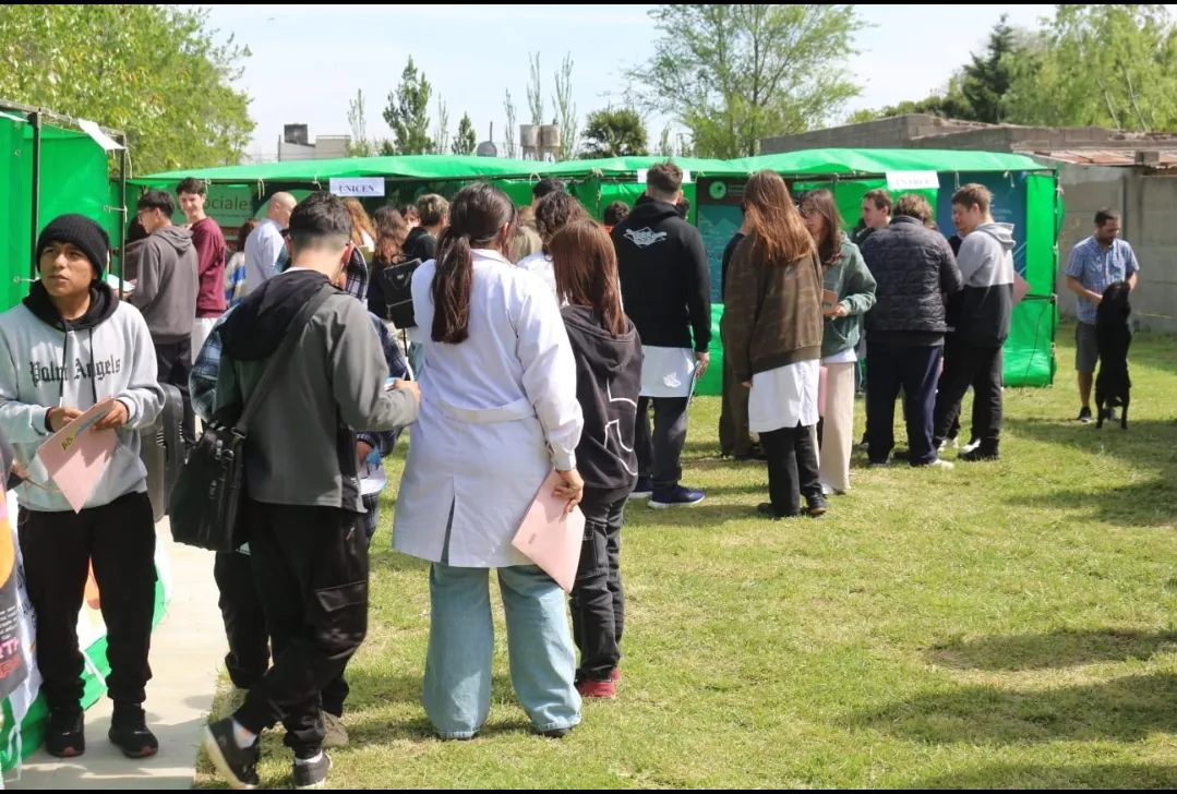 Screenshot_20251010-072206_WhatsApp