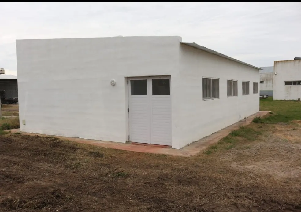 Screenshot_20250822-070648_WhatsApp