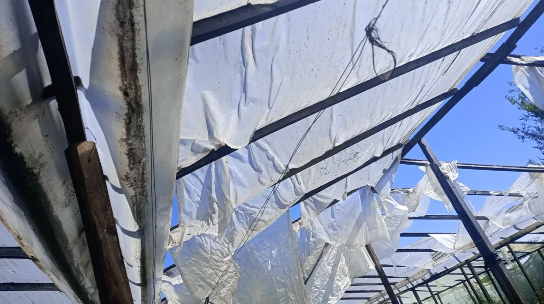 Screenshot_20251128_065104_WhatsApp