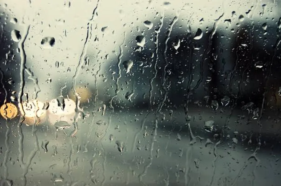 Screenshot_20260119_073946_Google