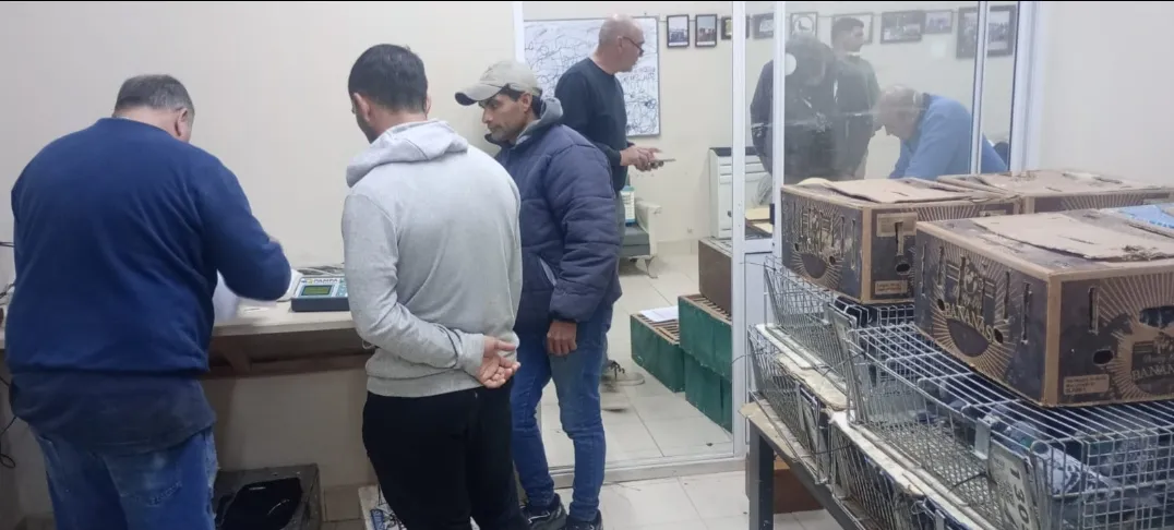 Screenshot_20240912-105101_WhatsApp