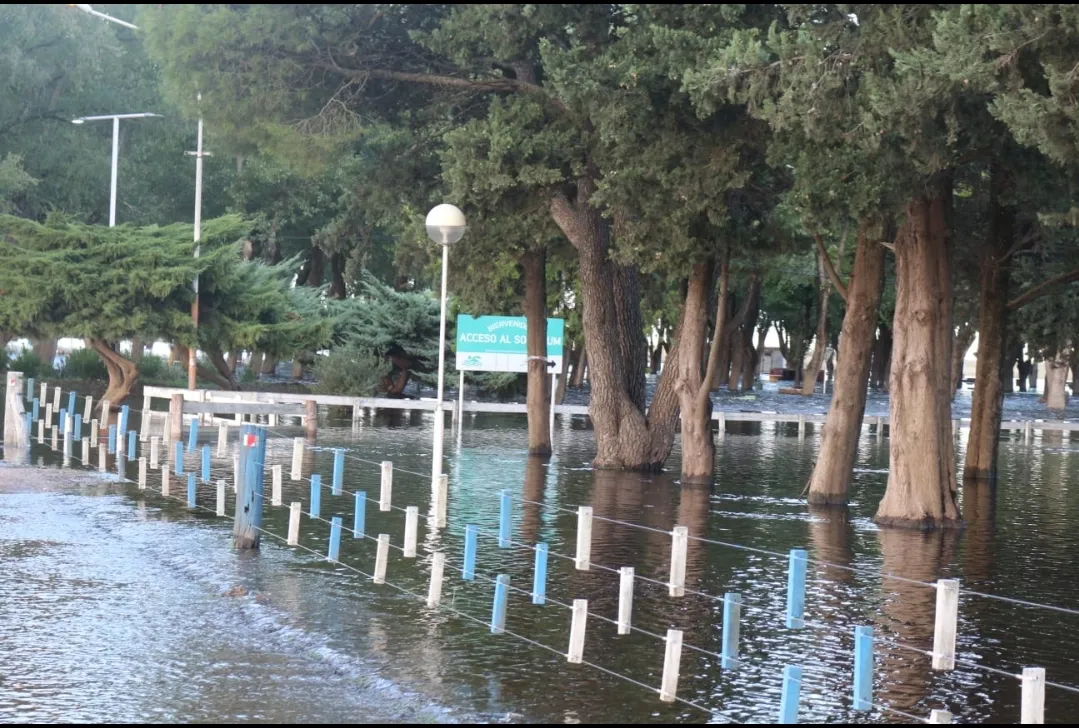 Screenshot_20250309-070237_WhatsApp