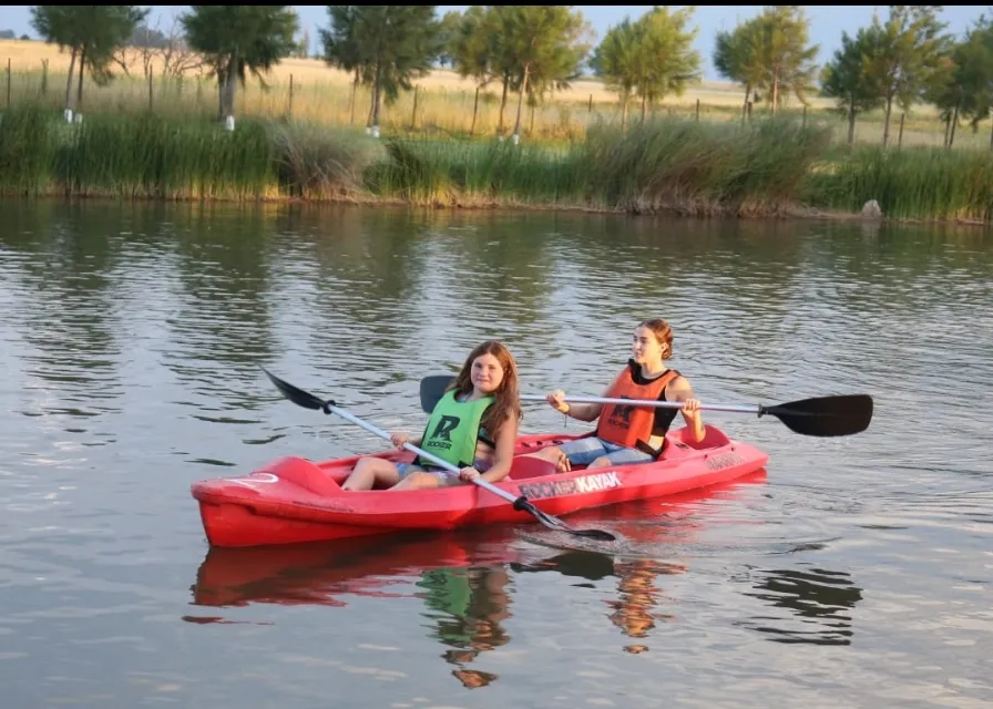 Screenshot_20250203-013329_WhatsApp