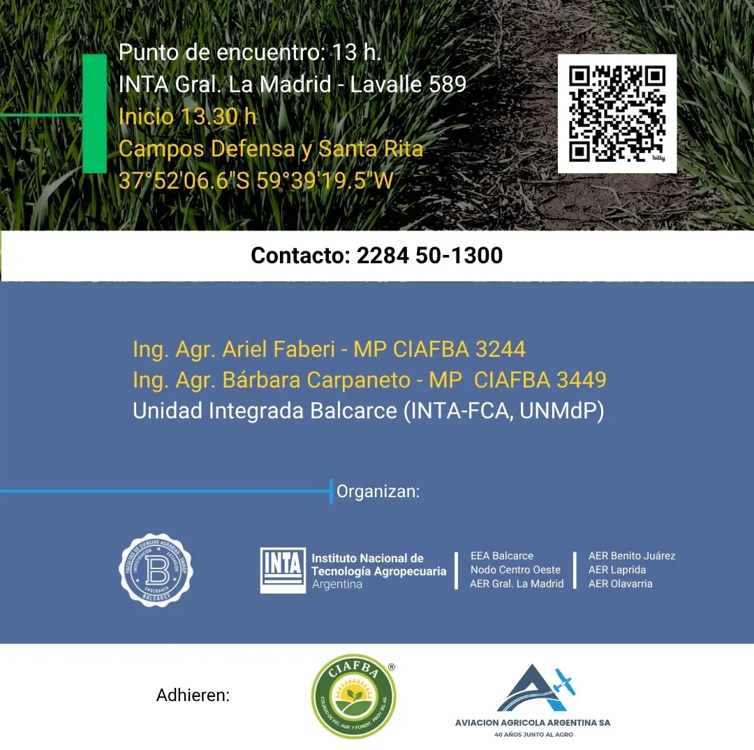 Screenshot_20251007-070216_WhatsApp