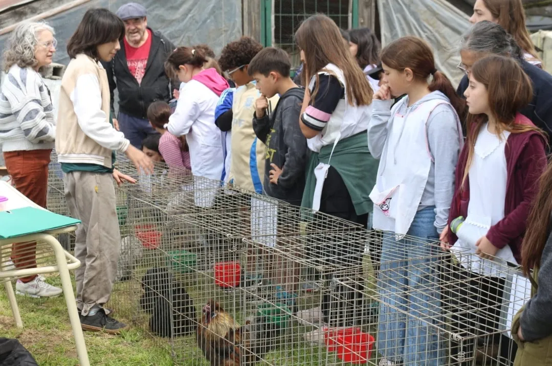 Screenshot_20251031_064809_WhatsApp