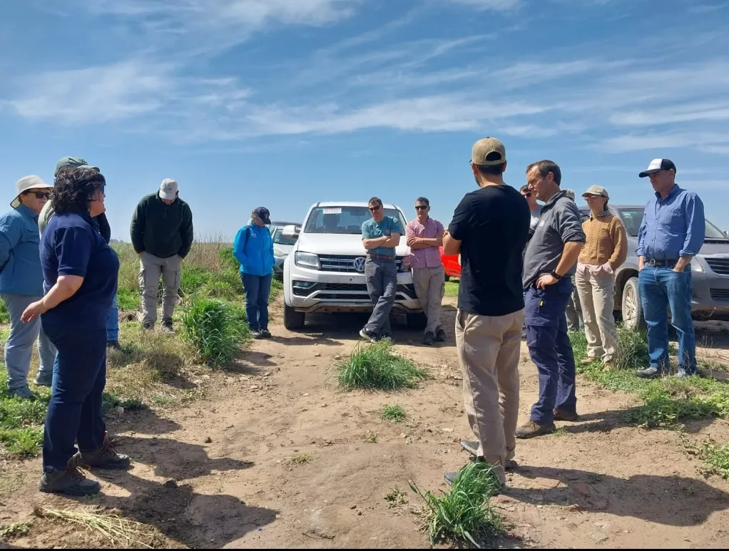 Screenshot_20251017-044643_WhatsApp