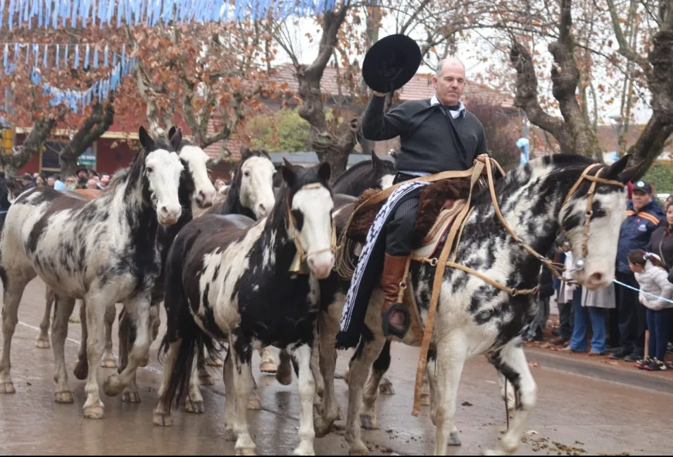 Screenshot_20250714-065047_WhatsApp